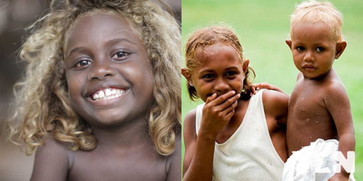 Why Do Melanesians Have Blonde Hair