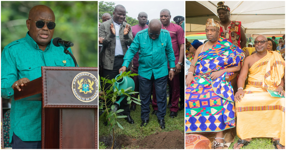 Akufo Addo Joins 2022 Green Ghana Day To Help Plant 20 Million Trees