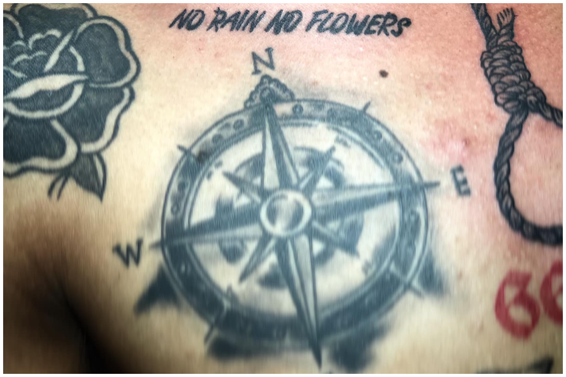 25 Cool Rain Flowers Tattoo Ideas & Meanings for 2023 41 No rain, no flowers tattoo