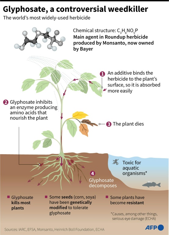 Glyphosate: a controversial weedkiller