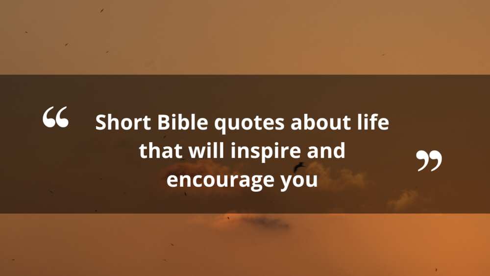 short bible quotes about life