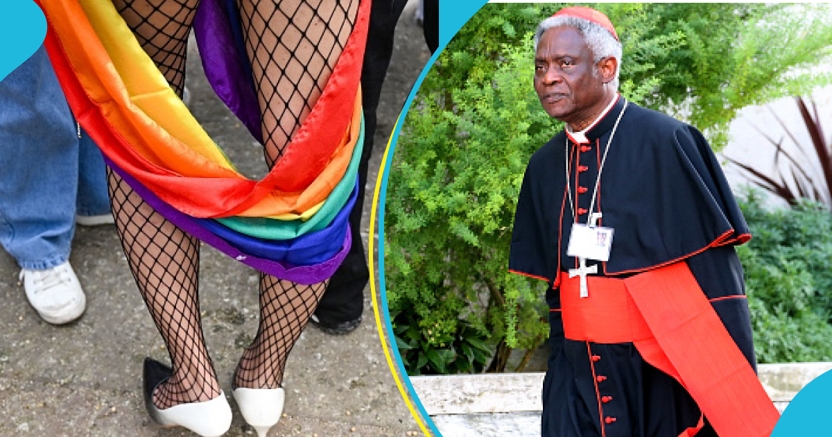Cardinal Turkson makes controversial pronouncement on homosexuality