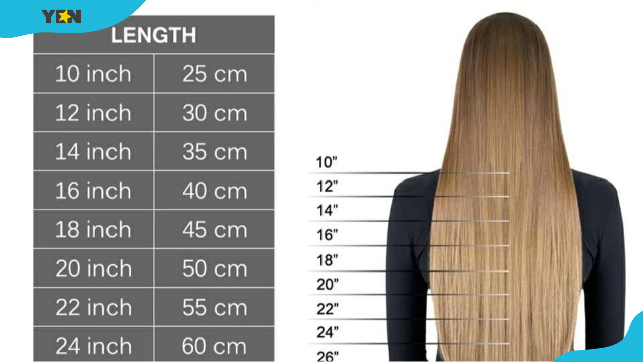 A comprehensive hair length chart for short, medium and long hair