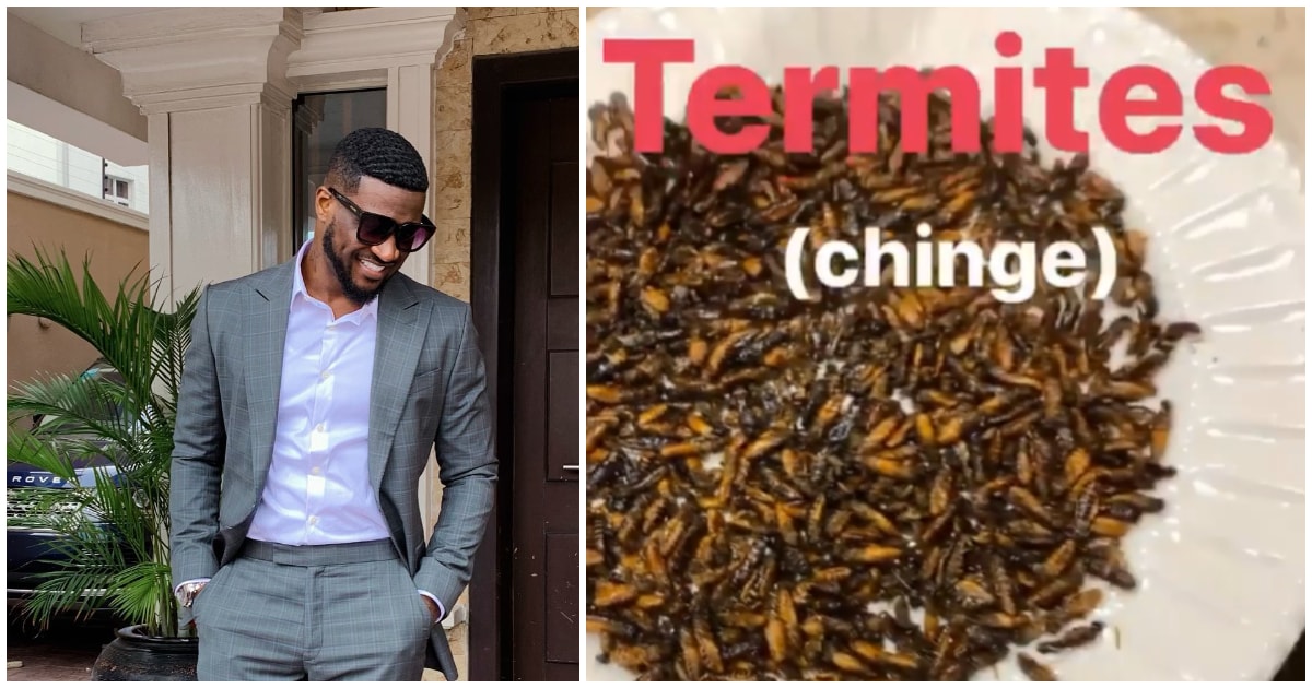 Peter Okoye enjoys a meal of termites, reveals other insects he loves eating