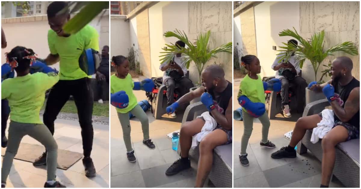Davido screams like a child as Imade rushes him and trainer with 'fiery' punches, kicks during workout session
