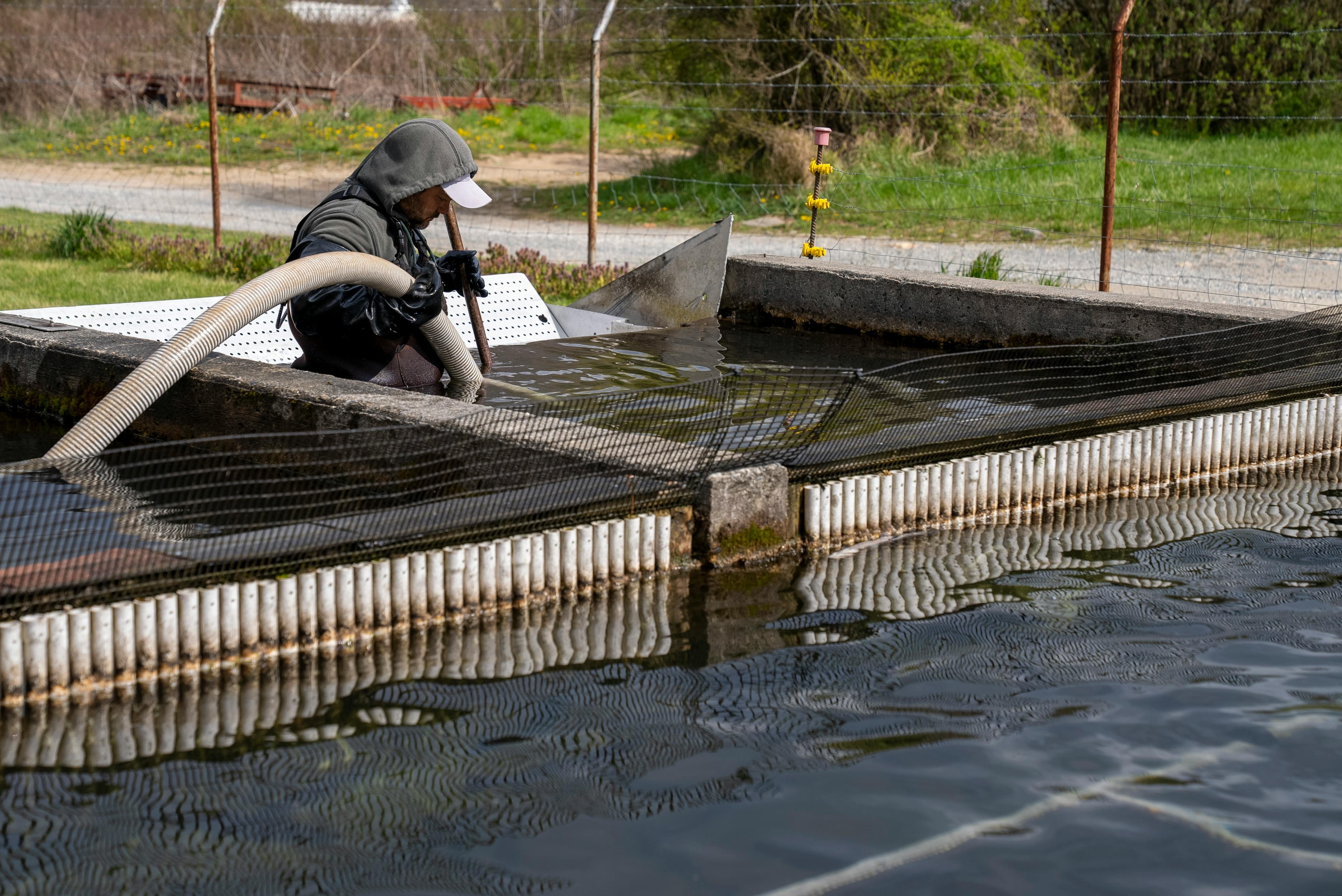 A man cleaning a pond