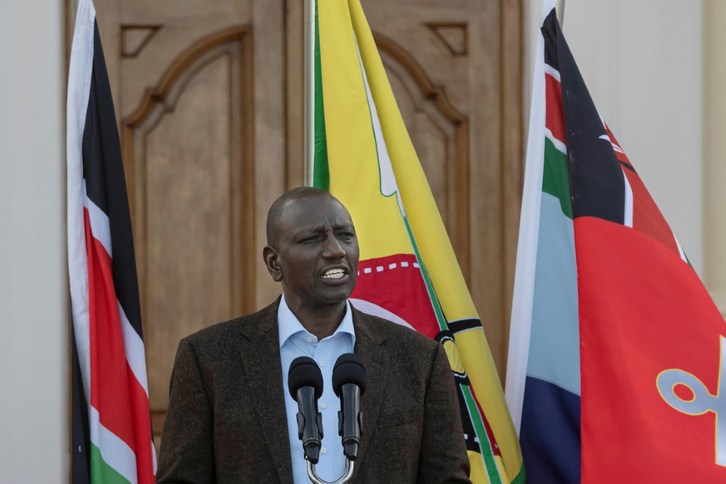Kenyan President William Ruto said the EU trade deal 'ensures a stable market for industrialists, for our farmers, and also industrialists in the European Union'