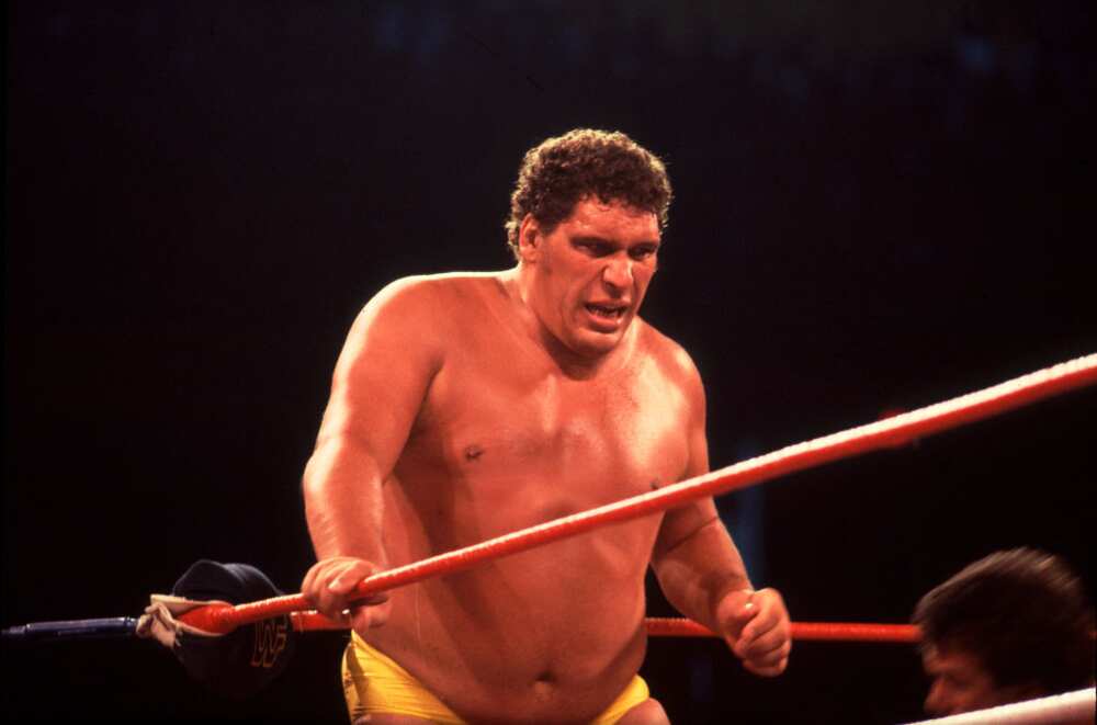 How big was Andre the Giant