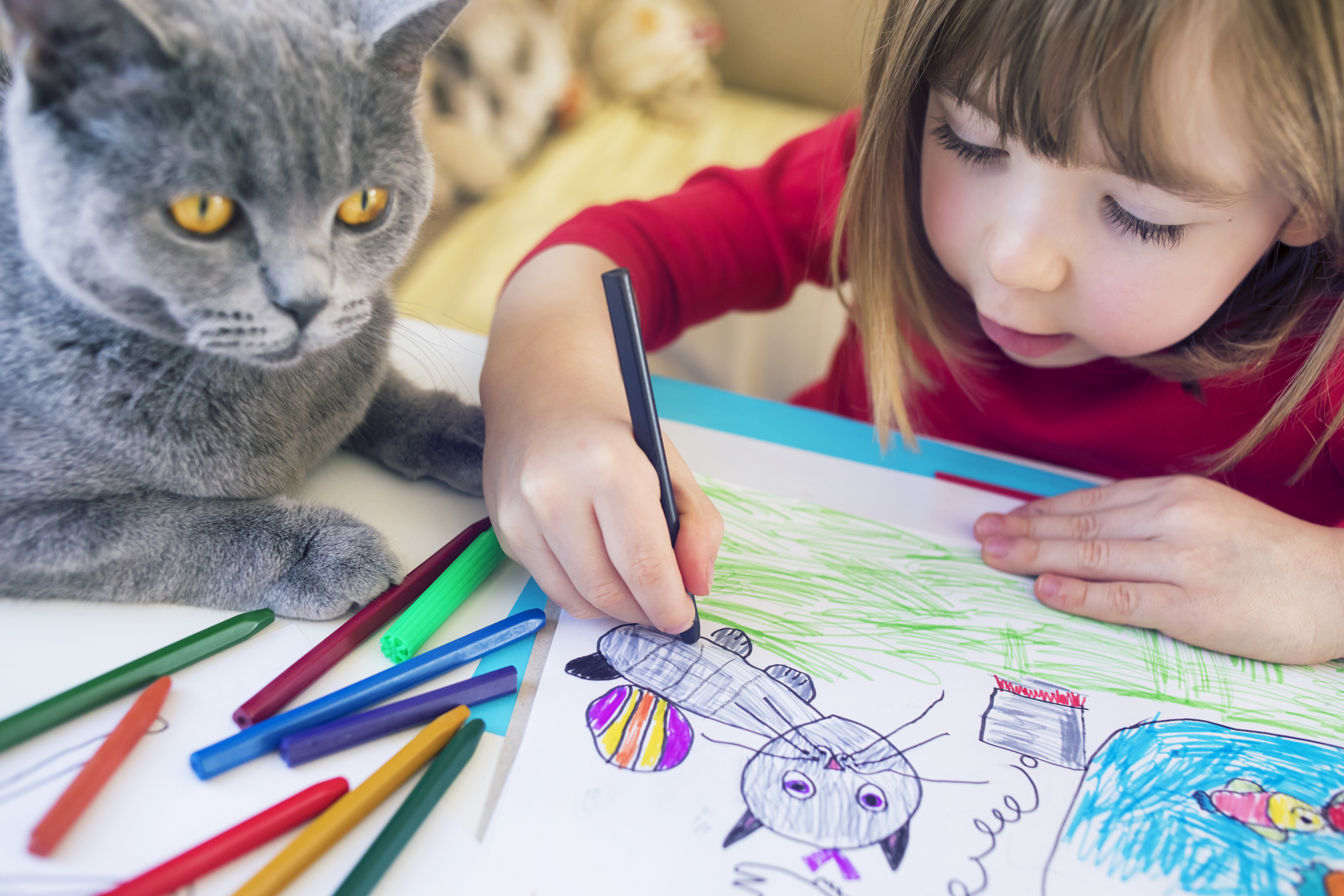 A child drawing a cat