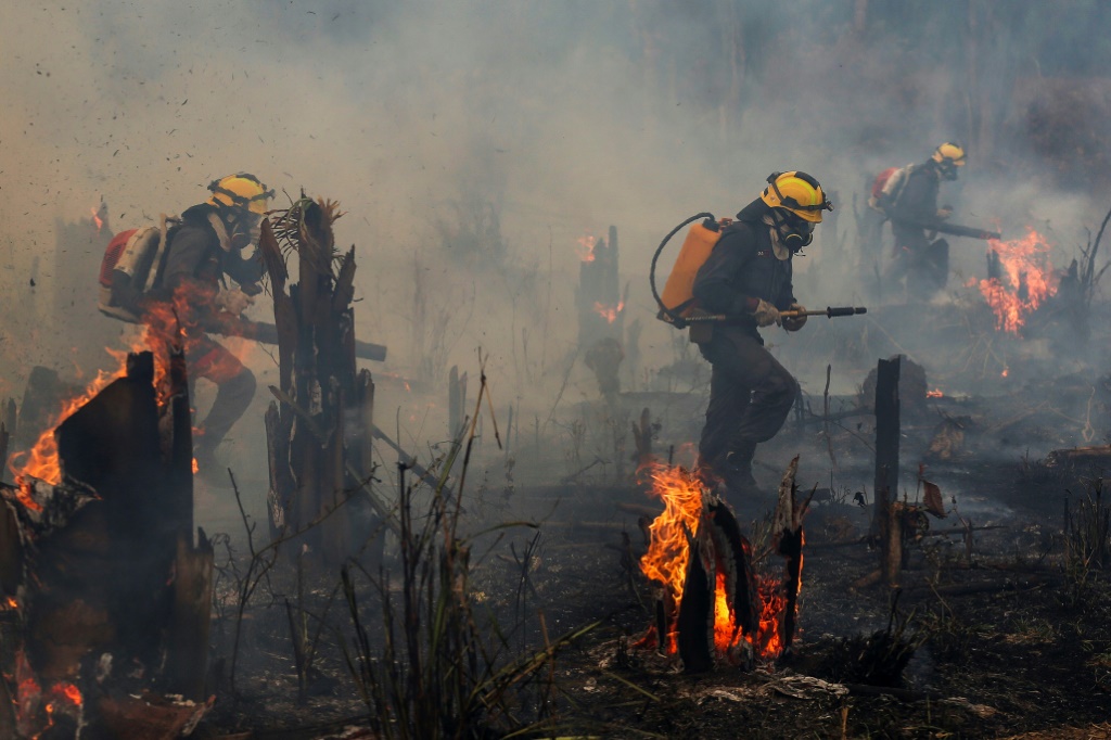 Brasil vê região queimada por incêndio quase dobrar em novembro