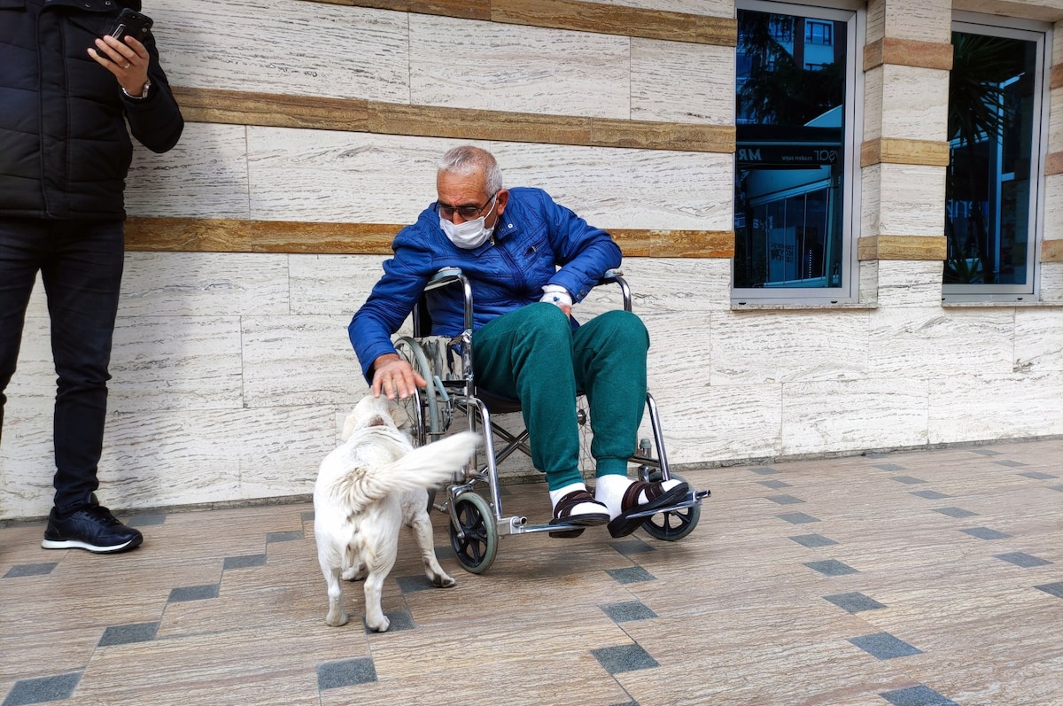 Sweet dog stands outside hospital for 6 days till owner is discharged