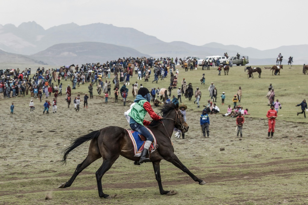 A winning jockey steers his horse towards spectators