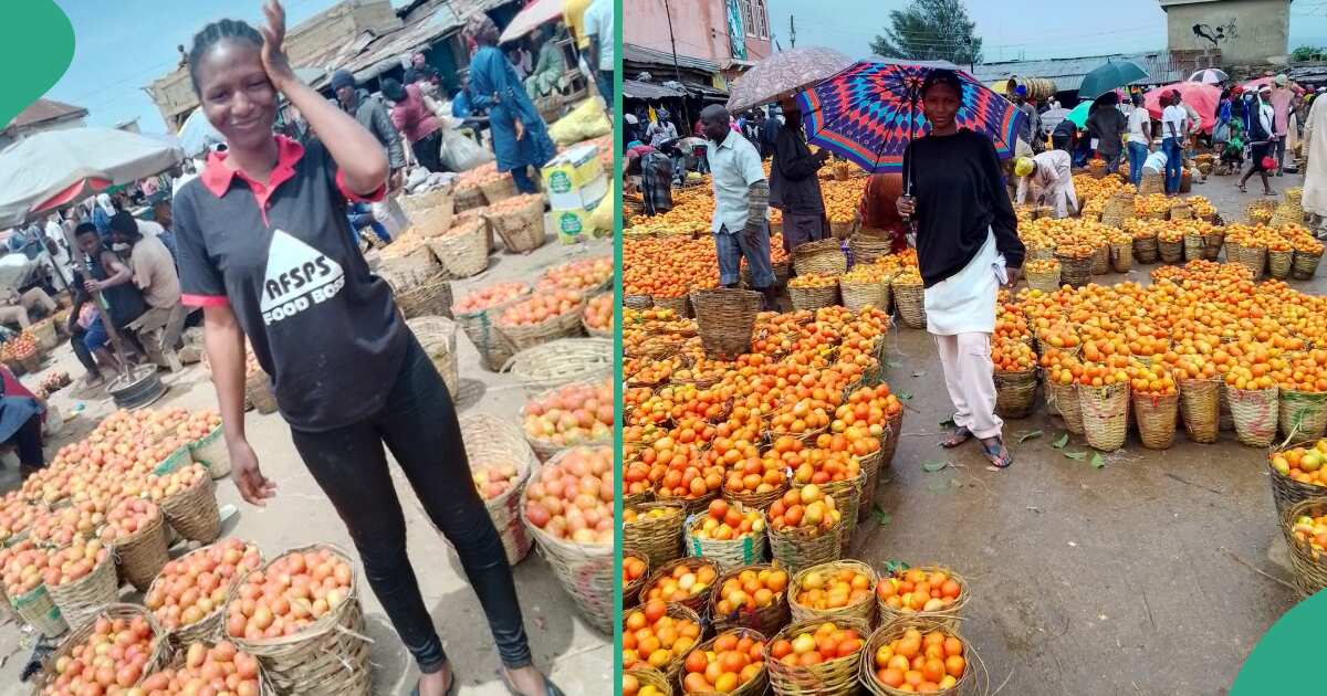 Nigerian lady celebrates as she makes her first N1 million selling tomatoes in market