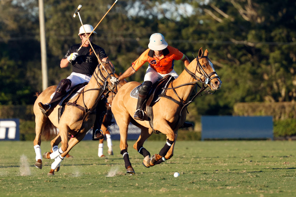 Two men on horses playing polo, swinging mallets to hit a small ball on a grass field.