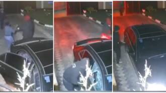 4 armed robbers captured in viral video storming home of a helpless lady to rob her