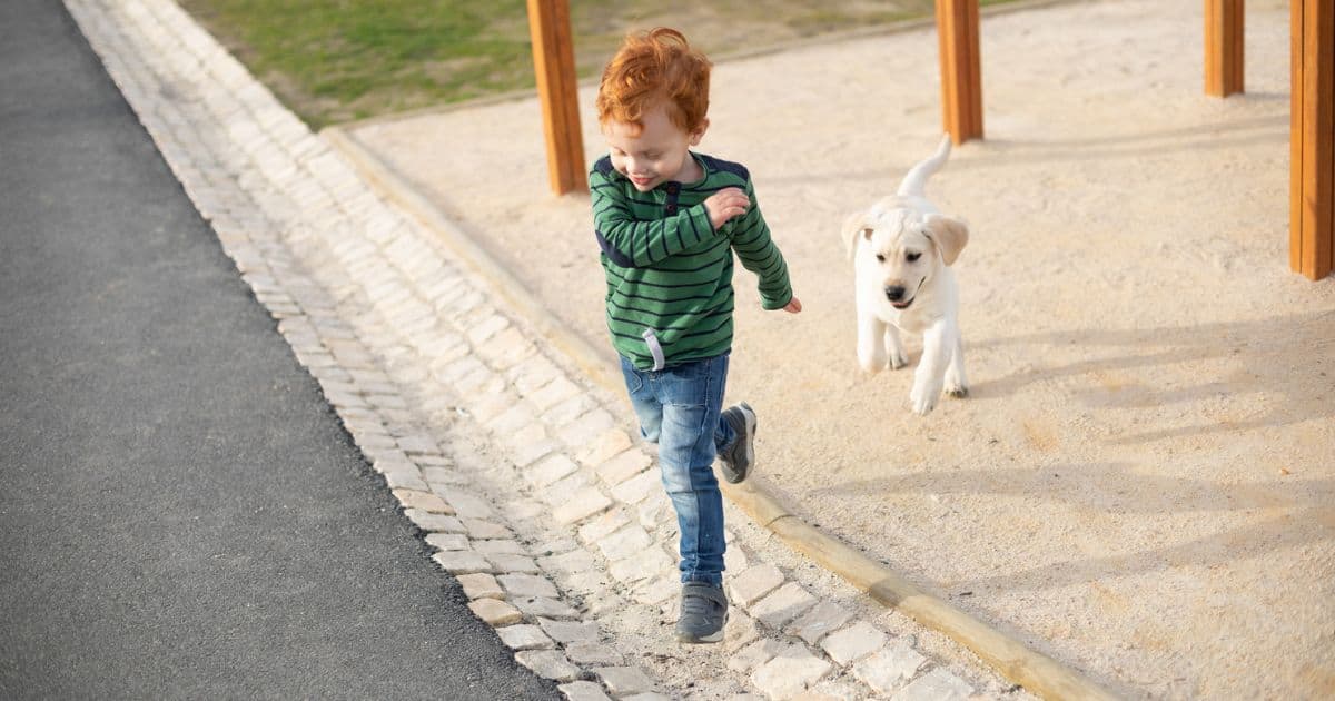 boy being chased by a small dog