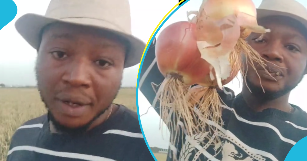 Ghanaian man who works as onion farmer in Spain laments over attitude of relatives: "Don't misuse our remittances"