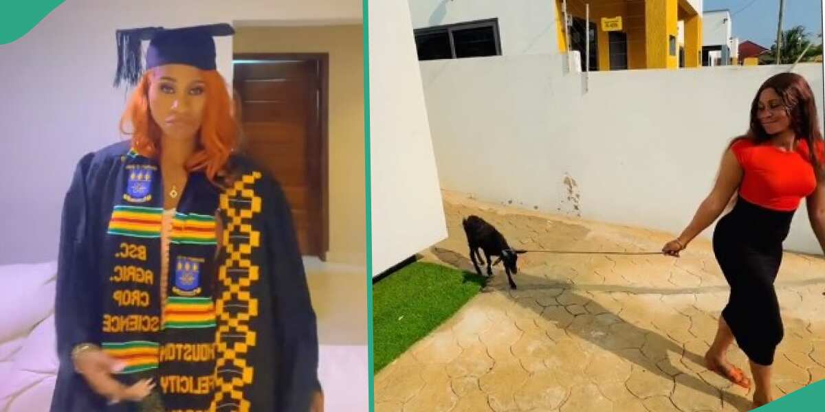 Lady makes people laugh as she shows off goat she got as graduation gift