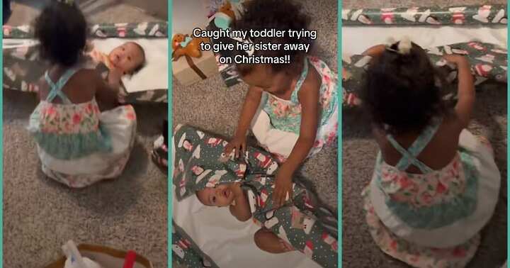 "She's tired of her": Little girl wraps baby sister to give away as Christmas present, video trends