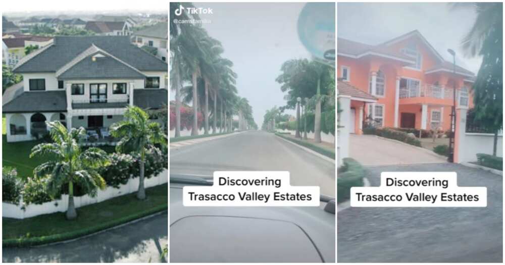 Photos of luxurious mansions in Trasacco Estates