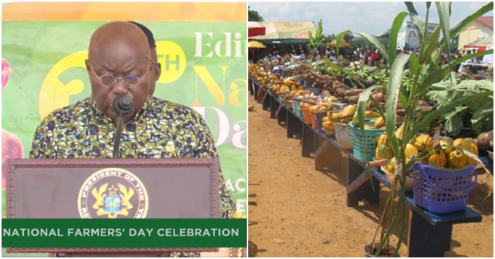 Akufo-Addo attends National Farmers' Day in Koforidua.