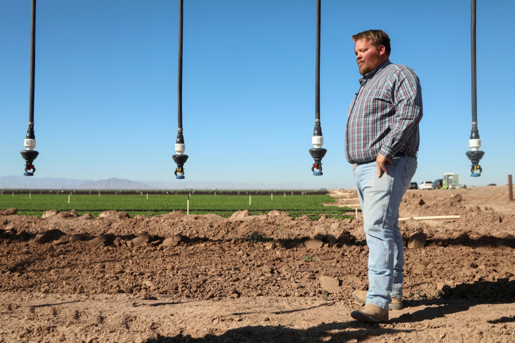 Fourth-generation farmer Andrew Leimgruber, standing near irrigation hoses, looks over a field of lettuce in Holtville, California