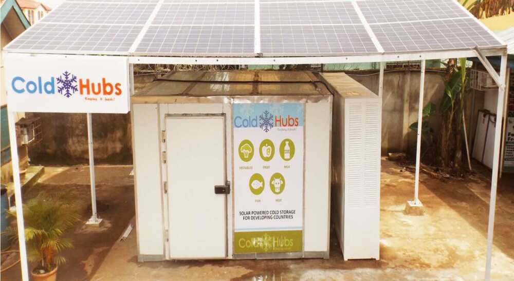 Nigerian Entrepreneur Invents Giant Solar-Powered Refrigerators That Cut Spoilage to Help Farmers Earn 25% More