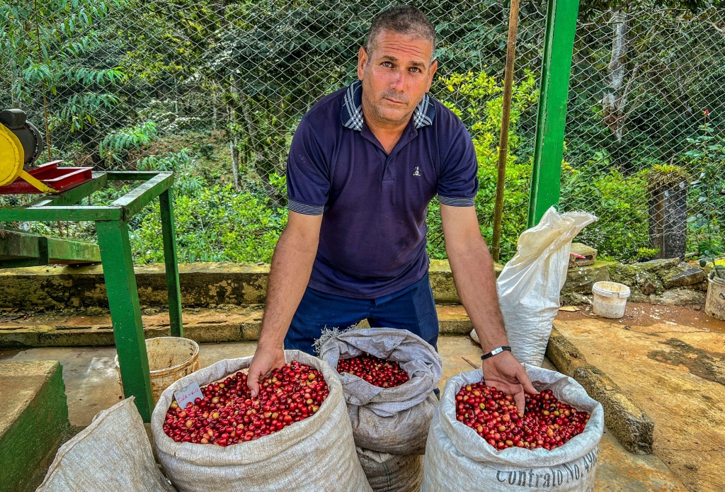 Farmer Jesus Chaviano displays his coffee beans at his plantation in Jibacoa, Villa Clara province, Cuba