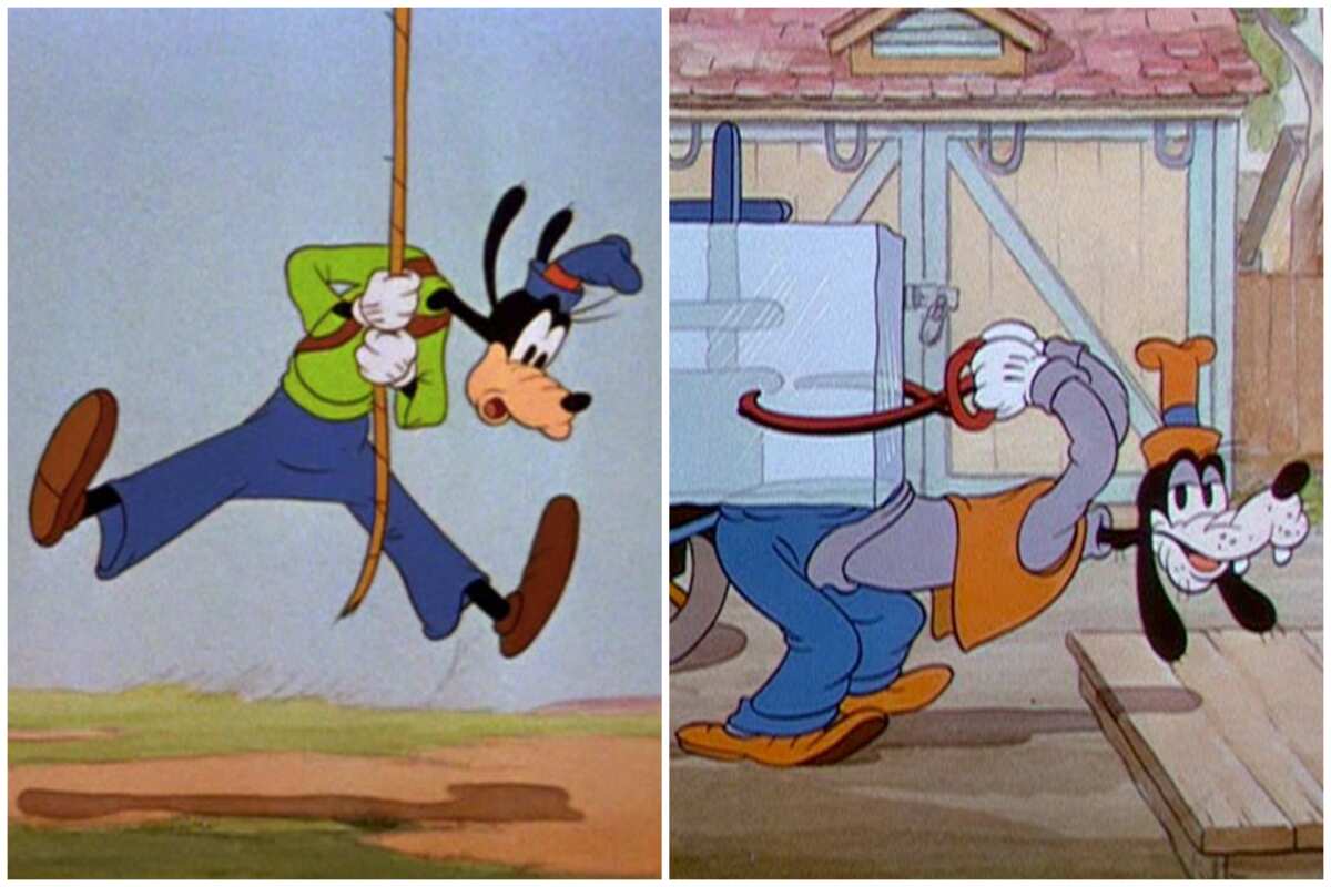 Is Goofy a cow or a dog? Everything you need to know about the Disney  character 