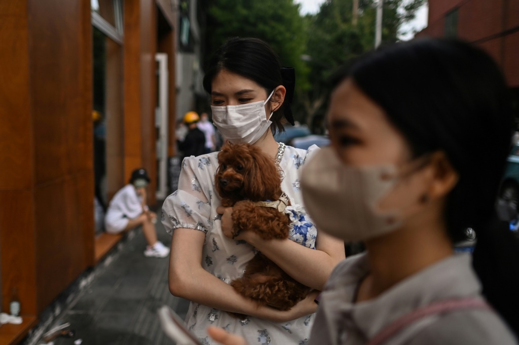 China reported zero new Covid-19 infections in Shanghai for the first time since March on Saturday, after months of virus-spurred lockdowns and restrictions