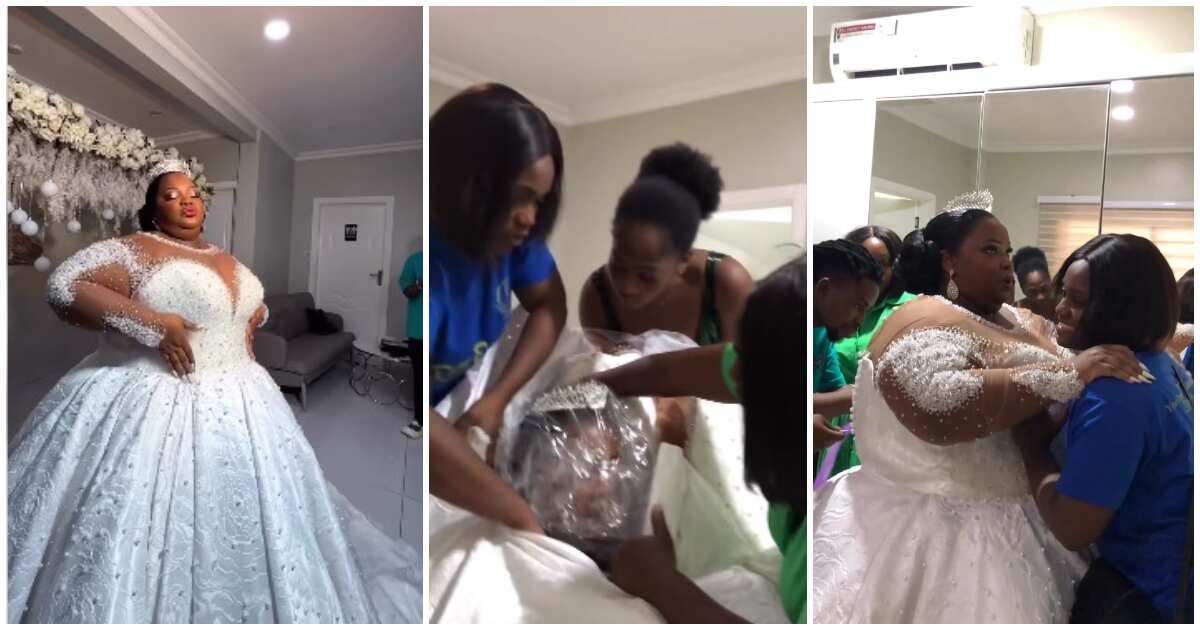 Drama as 5 people struggle to fit wedding gown on plus-size bride, video emerges:"She isn't comfortable"