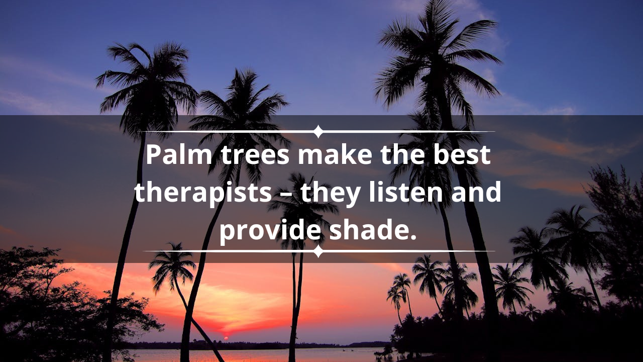 Palm tree jokes