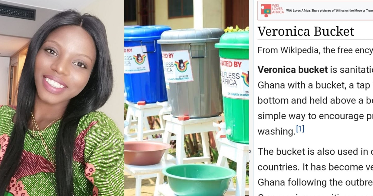 Meet Pamela Ofori-Boateng, a renowned Ghanaian Wikipedian