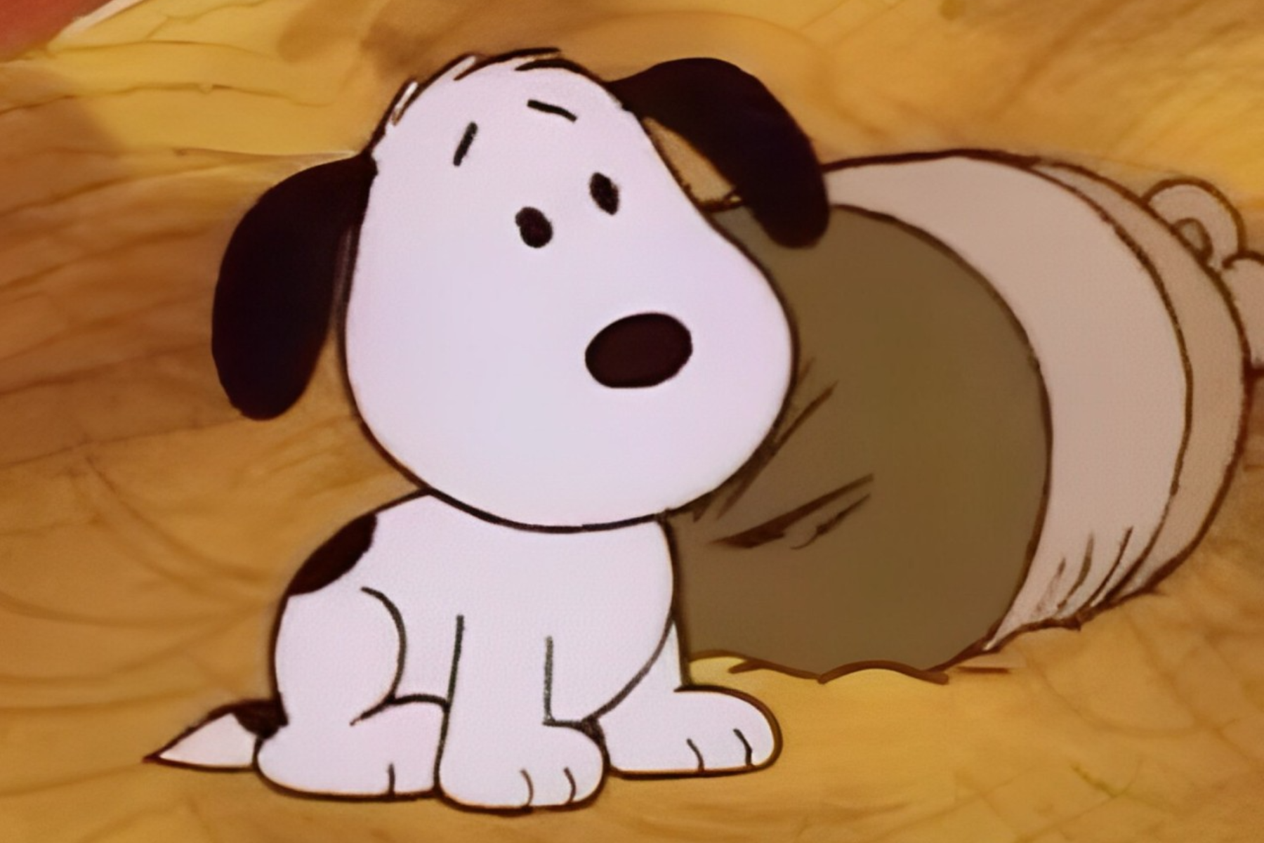 Snoopy is sitting on the ground