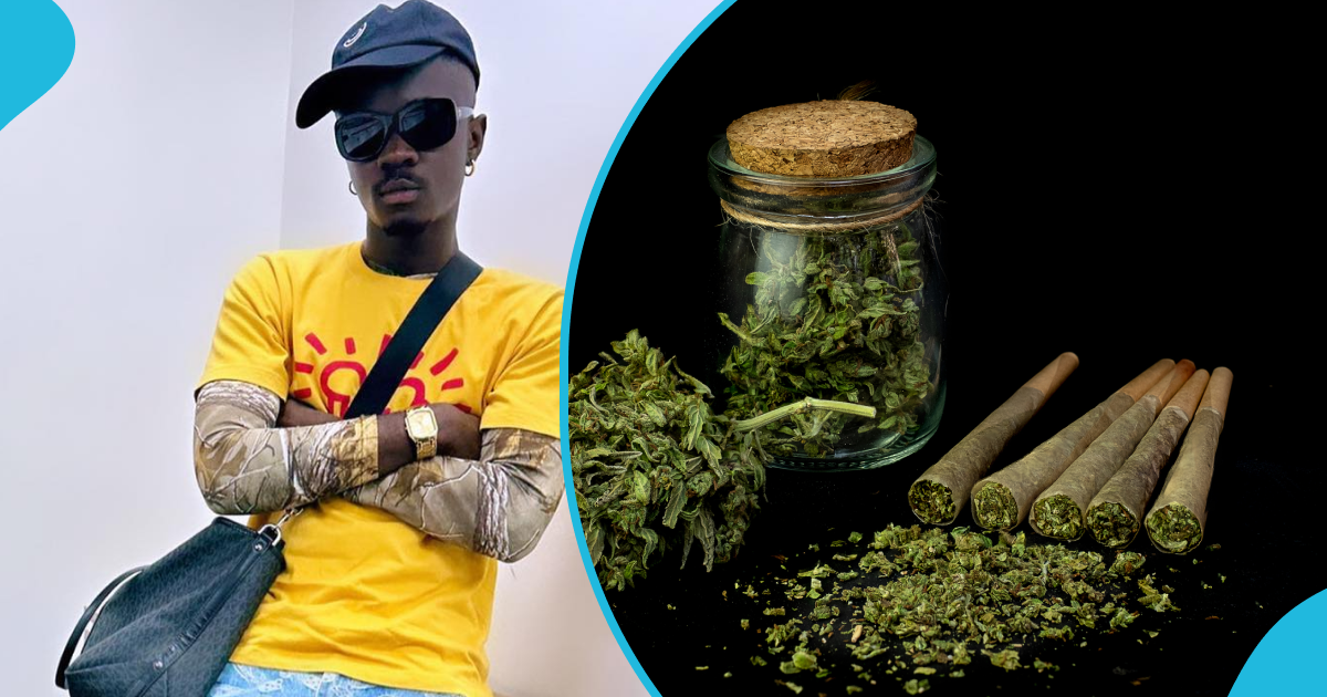 Yaw Tog reveals intentions to go into hemp farming if he gets the license and money: "It is business"
