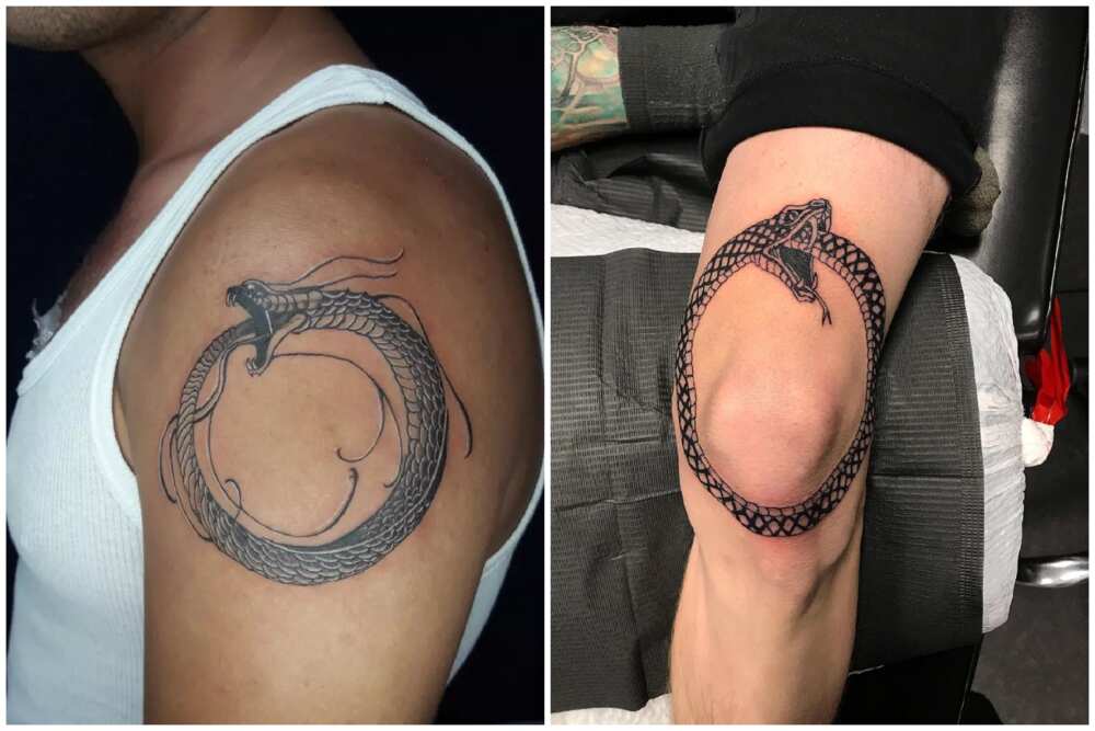 25+ tattoos that represent growth, change and new beginnings 