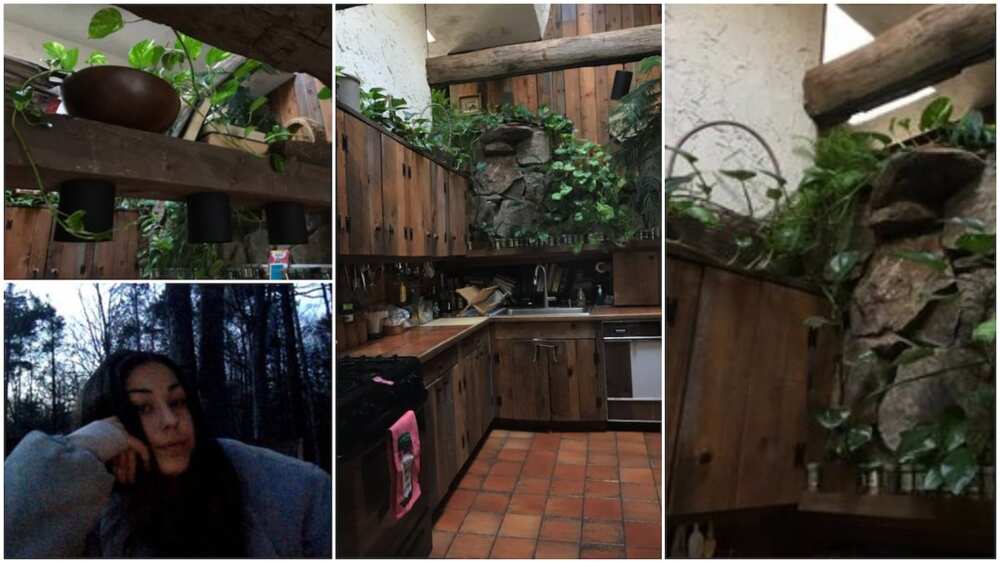 Adorable photos of kitchen with leaves, plants go viral, stir reaction