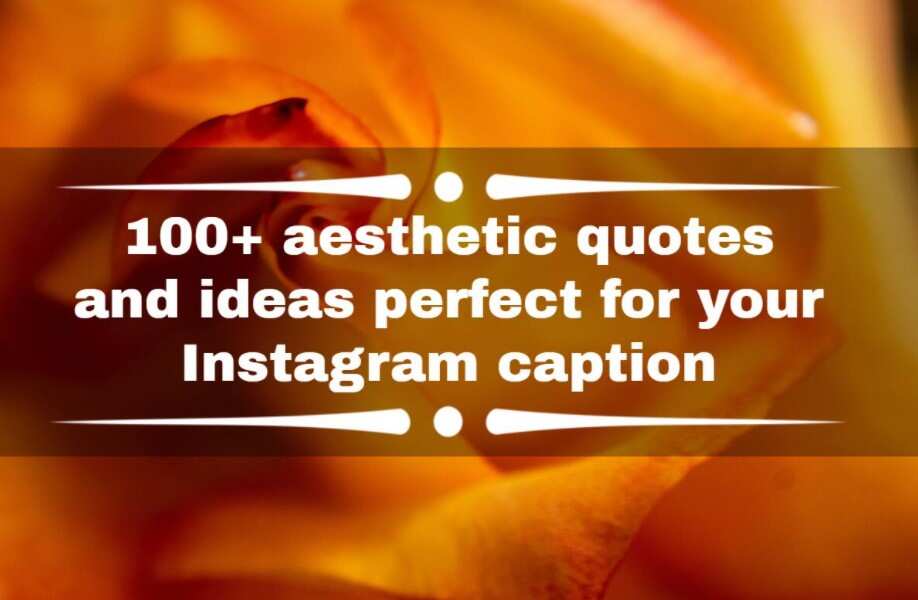 100+ aesthetic quotes and ideas perfect for your Instagram caption ...