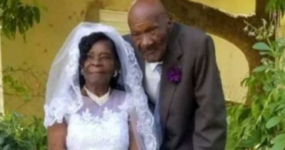 Woman, 91, weds 73-year-old boyfriend after dating for 10 years