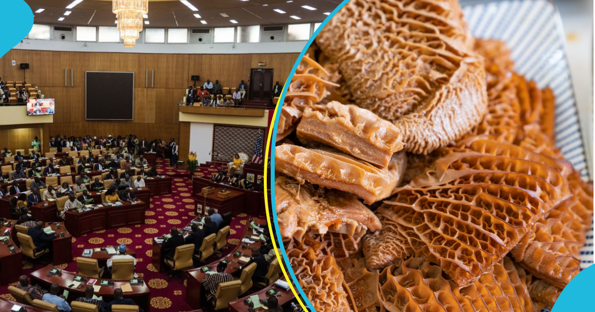 Parliament suspends move to ban importation of yemuadiɛ, rice, poultry and 19 other strategic products