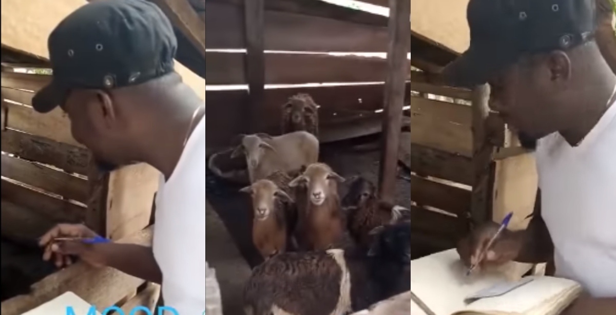 Funny: Man Marking Register for his Goats gets Many Laughing Their Hearts out