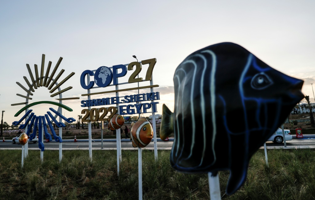 This picture shows a view of the green zone at the Sharm el-Sheikh International Convention Centre, during the COP27 climate conference in Egypt's Red Sea resort city of the same name, on November 9, 2022.