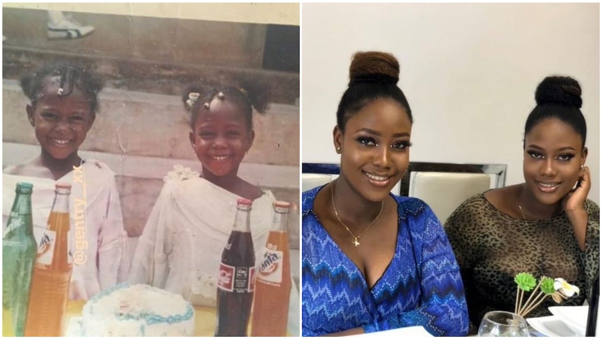 Childhood photos of twin sisters years apart surface on internet