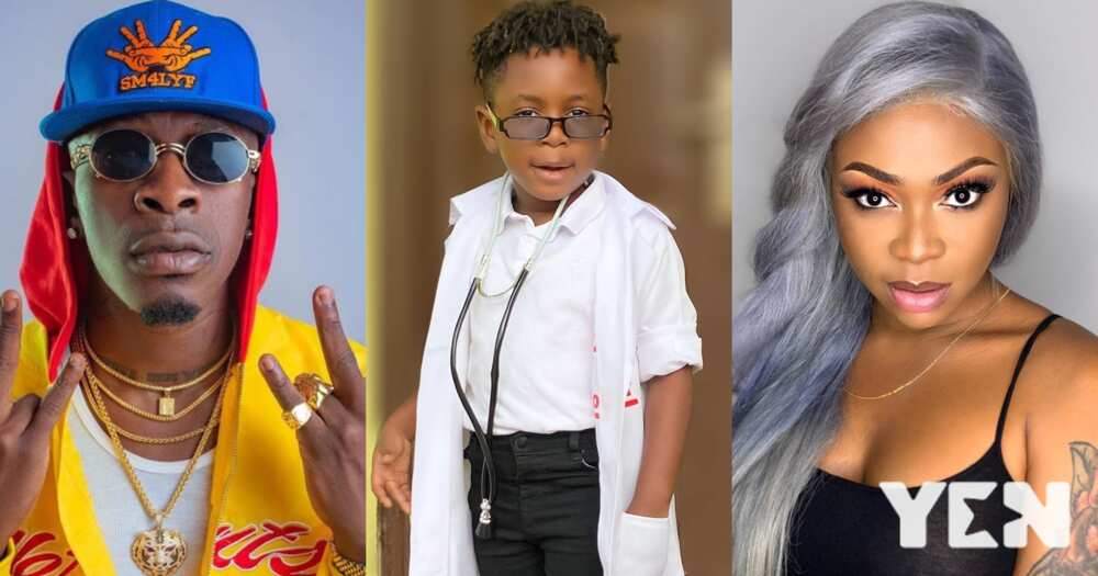 Majesty: Video of Shatta Wale’s son Encouraging Michy to be Brave During Canopy Walk Warms Heart