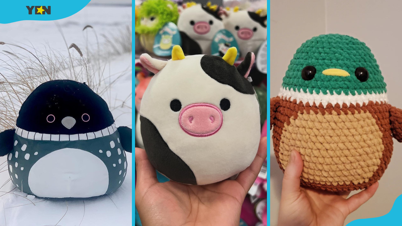 The top 15 rare Squishmallows: A list of the most popular plush (with pictures)