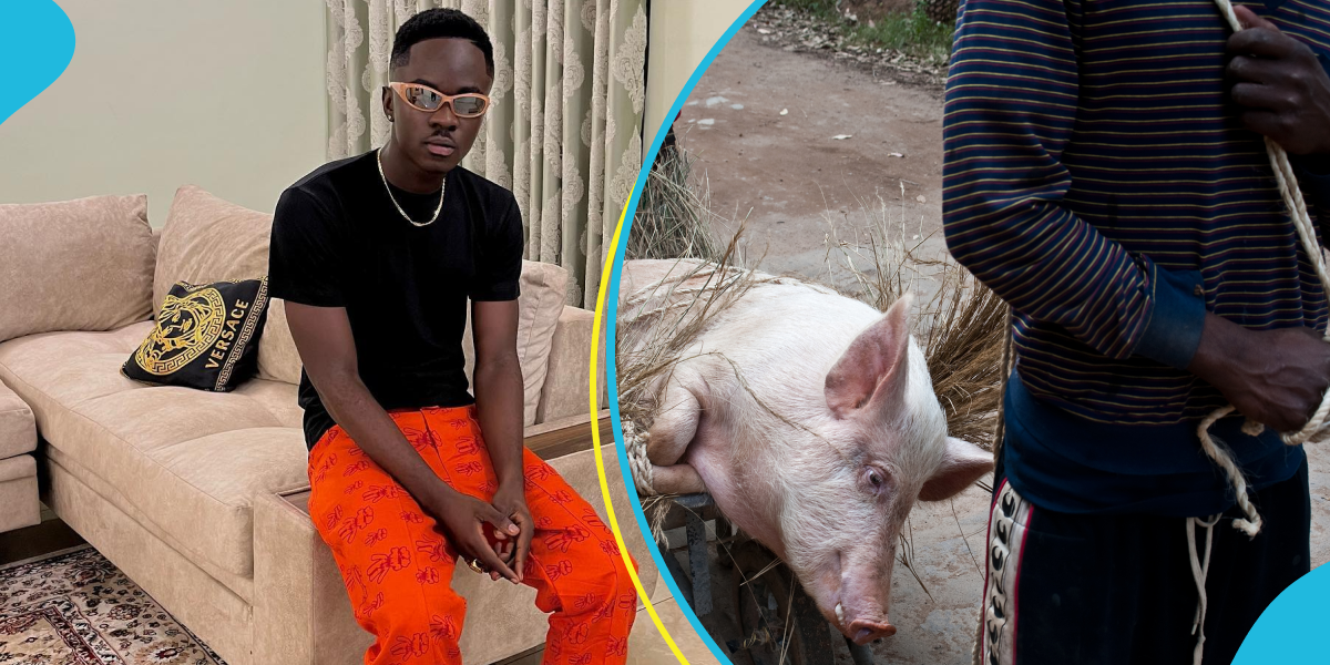 Yaw Tog says he own a pig farm in Kumasi managed by his mother