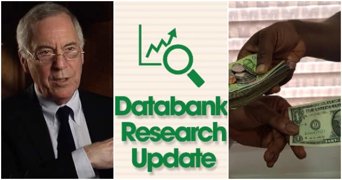 “Wishful thinking”: Prof Hanke slams Databank’s projection that cedi will stabilise soon
