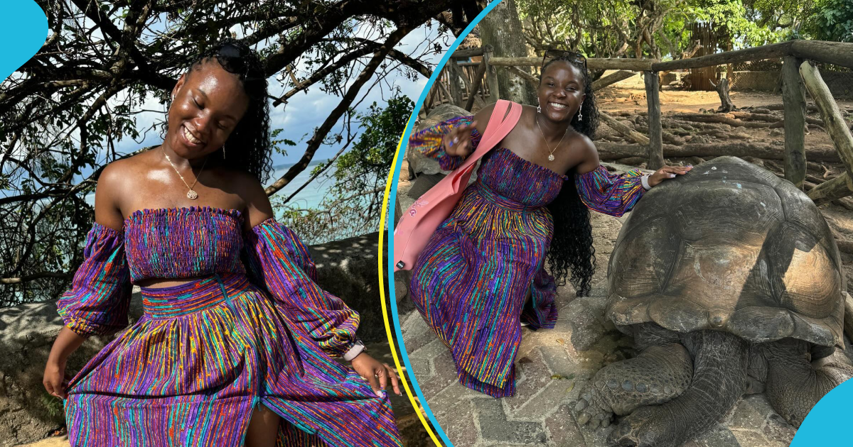 Afronita plays with giant tortoise in Zanzibar, flaunts well-oiled skin in African print outfit