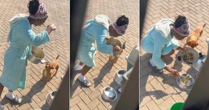 Woman catches daughter eating dog's food