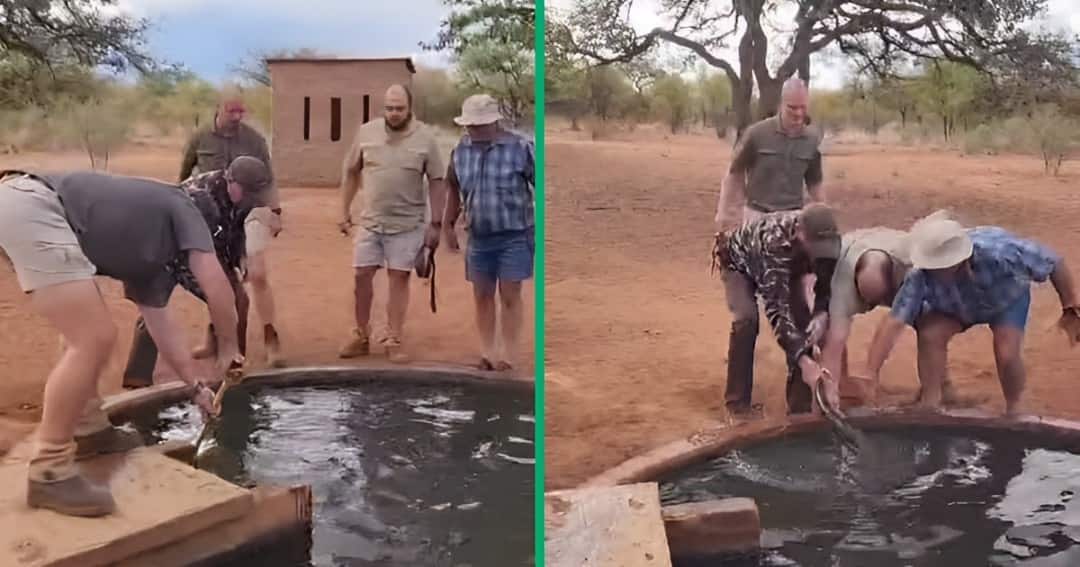 A Facebook video shows a group of men trying to remove a snake from the water.